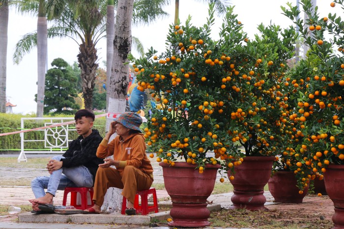 Vắng bóng "thượng đế", tiểu thương tại chợ hoa Tết lớn nhất Đà Nẵng đứng ngồi không yên- Ảnh 6.