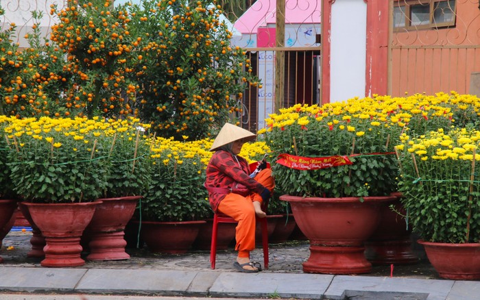 Vắng bóng "thượng đế", tiểu thương tại chợ hoa Tết lớn nhất Đà Nẵng đứng ngồi không yên- Ảnh 5.