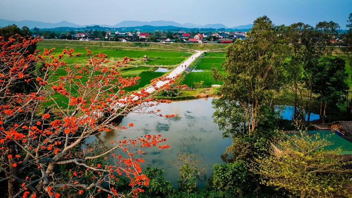 Tháng 3 hoa gạo nở đỏ một góc trời, đường làng trở thành điểm check in hút khách ở xứ Nghệ- Ảnh 9.