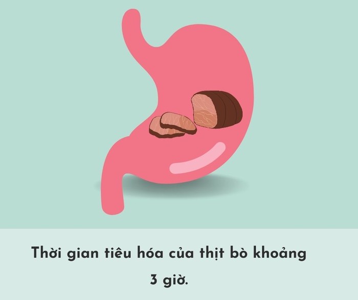 Thời gian tiêu hóa của các loại thực phẩm trong dạ dày- Ảnh 11.