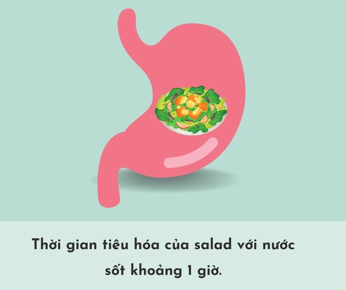 Thời gian tiêu hóa của các loại thực phẩm trong dạ dày- Ảnh 13.