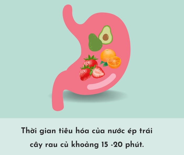 Thời gian tiêu hóa của các loại thực phẩm trong dạ dày- Ảnh 3.