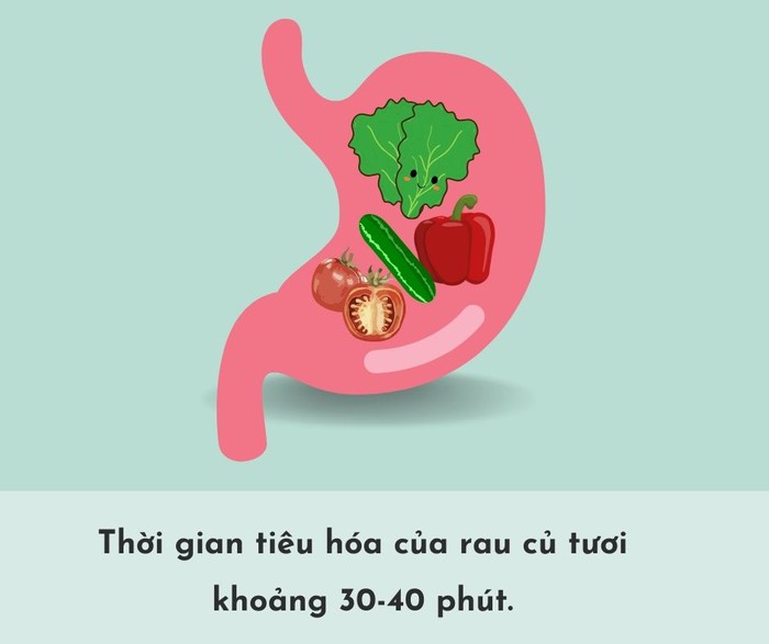 Thời gian tiêu hóa của các loại thực phẩm trong dạ dày- Ảnh 4.