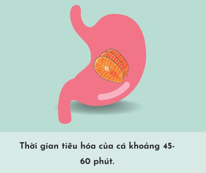 Thời gian tiêu hóa của các loại thực phẩm trong dạ dày- Ảnh 5.