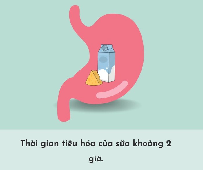 Thời gian tiêu hóa của các loại thực phẩm trong dạ dày- Ảnh 8.