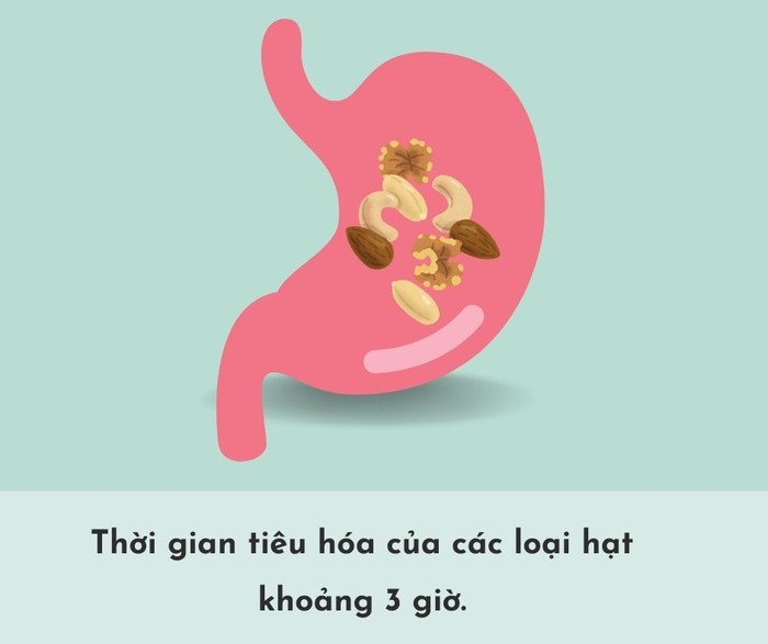 Thời gian tiêu hóa của các loại thực phẩm trong dạ dày- Ảnh 9.