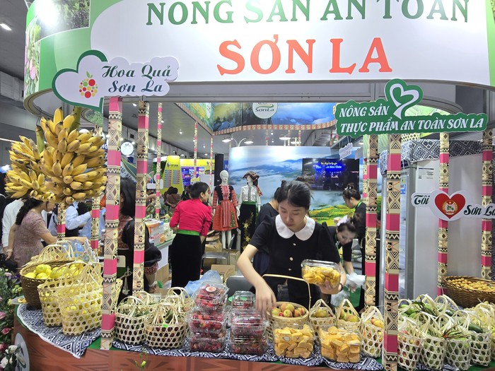 Doanh nghiệp lữ hành "tung chiêu" hút khách tại Hội chợ Du lịch Quốc tế Việt Nam 2024- Ảnh 7.