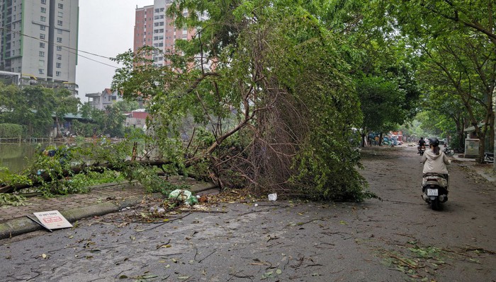 Hà Nội sau trận mưa lốc kinh hoàng: Hàng loạt cây cối đổ rạp, nhà trọ bị cuốn bay mái khiến bố mẹ phải ôm con di tản trong đêm- Ảnh 8.