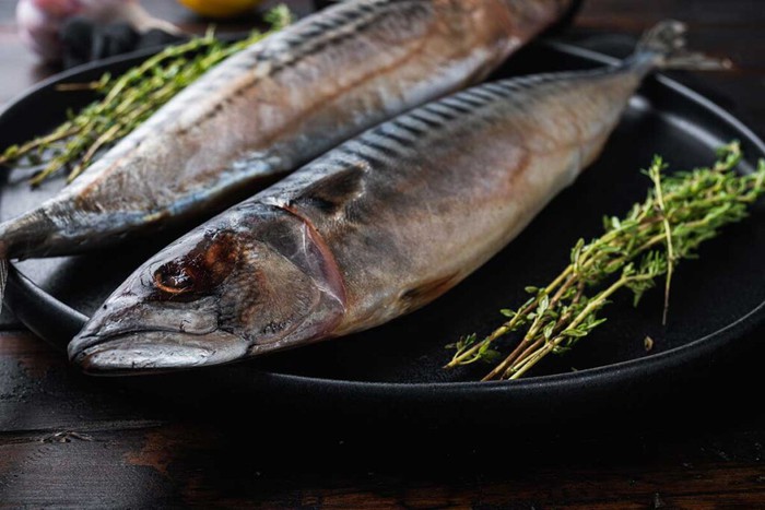 Loại cá cung cấp tới 9 loại vitamin, giàu omega-3 nhưng giá thành lại rất rẻ- Ảnh 2.