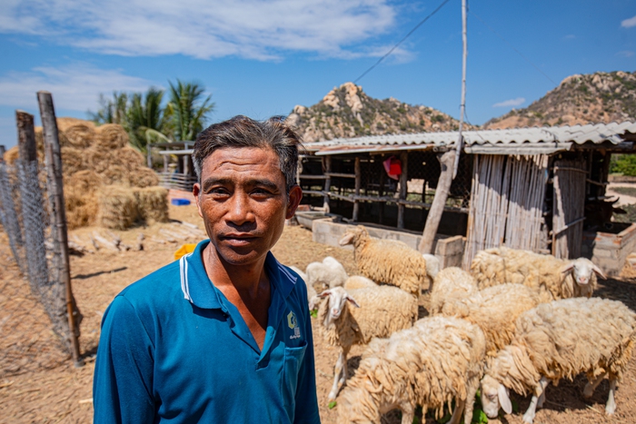 Tận mắt thấy những đàn cừu Ninh Thuận chết khô, hồ nước trơ đáy, nứt nẻ trong hạn hán khốc liệt miền Trung- Ảnh 8.