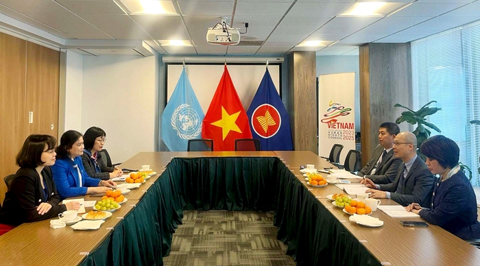 Đoàn công tác Trung ương Hội LHPN Việt Nam thăm và làm việc với Phái đoàn Việt Nam tại Liên hợp quốc- Ảnh 1.