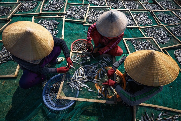 Mùa phơi cá ở Ninh Thuận- Ảnh 3.