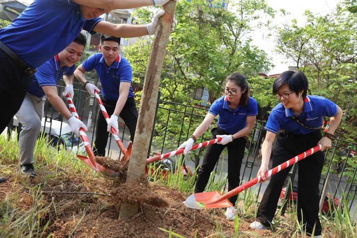 Trồng 1000 cây hoa ban tri ân mảnh đất Điện Biên- Ảnh 2.