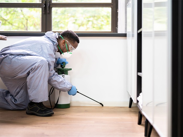 5 lưu ý khi dùng thuốc diệt côn trùng trong nhà để tránh gây hại cho sức khoẻ- Ảnh 2.