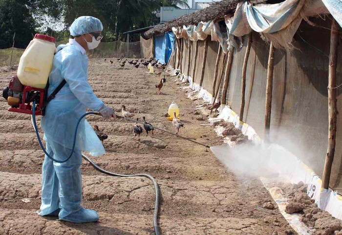 Xuất hiện trường hợp mắc cúm A/H9 đầu tiên tại Việt Nam- Ảnh 1.
