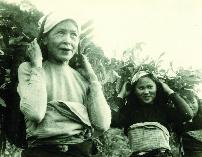 Những hình ảnh đẹp của phụ nữ Việt Nam trong chiến dịch Điện Biên Phủ- Ảnh 7.