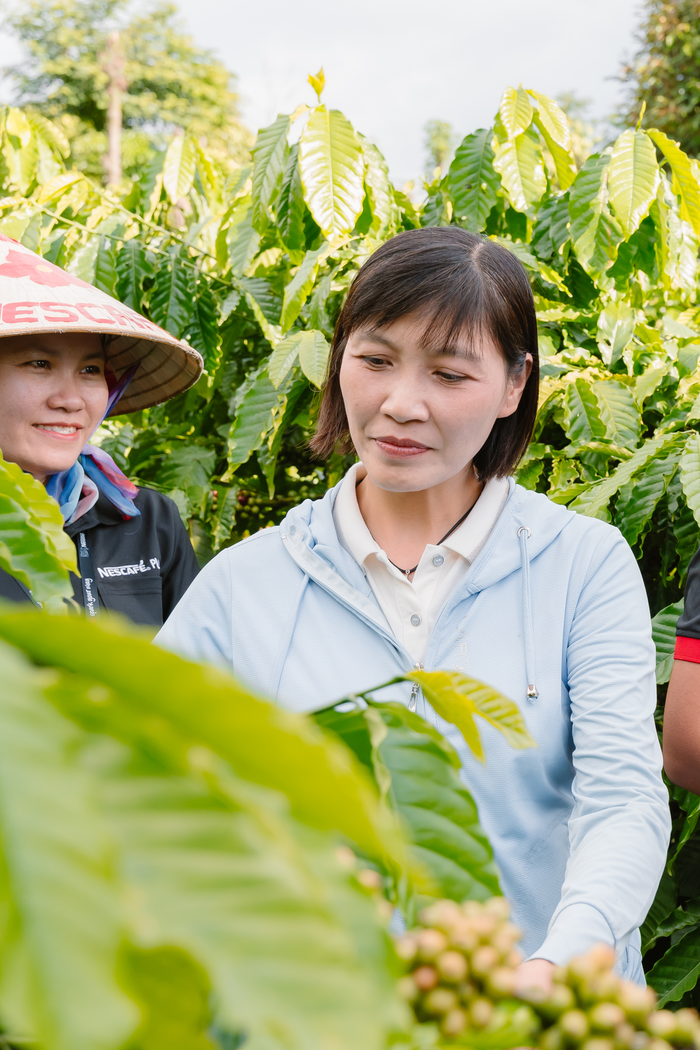 Nestlé tăng cường áp dụng nông nghiệp tái sinh, giảm phát thải khí nhà kính- Ảnh 1.