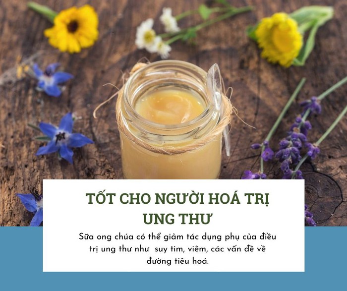 Loại sữa từ ong có vị chua và đắng nhưng lại rất tốt cho người bị ung thư và tiểu đường, giúp giảm cholesterol- Ảnh 3.