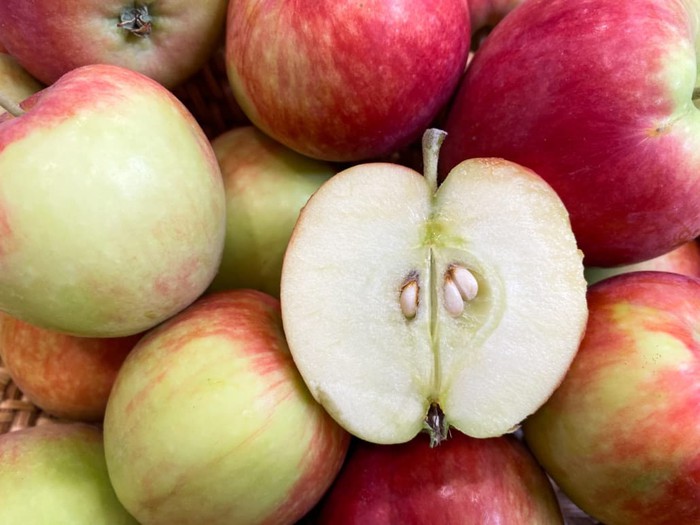 4 loại trái cây không nên ăn hạt vì có chứa chất độc, có loại còn gây hôn mê do hạ đường huyết- Ảnh 1.