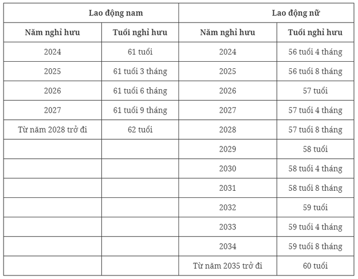 Tuổi nghỉ hưu của người lao động năm 2024 là bao nhiêu?- Ảnh 2.