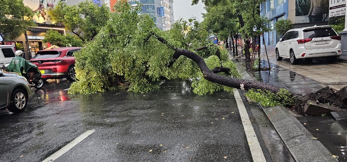 Đường trung tâm TPHCM ngập sâu, cây ngã la liệt sau trận cuồng phong- Ảnh 6.