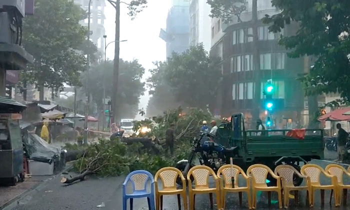 Đường trung tâm TPHCM ngập sâu, cây ngã la liệt sau trận cuồng phong- Ảnh 5.