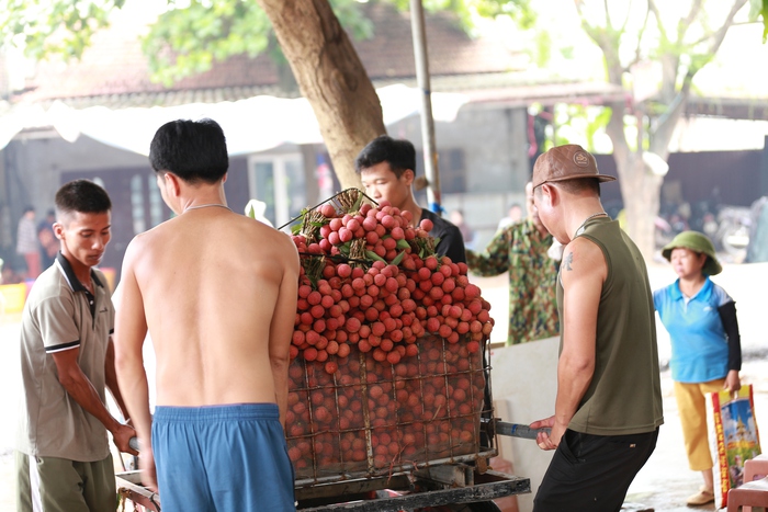 Sự thật về giá vải ở Lục Ngạn cao kỷ lục, có thời điểm lên đến 96.000 đồng/kg?- Ảnh 3.