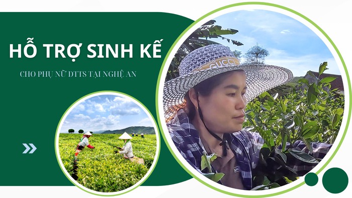 Đẩy mạnh hoạt động hỗ trợ sinh kế cho phụ nữ vùng DTTS tại Nghệ An- Ảnh 1.