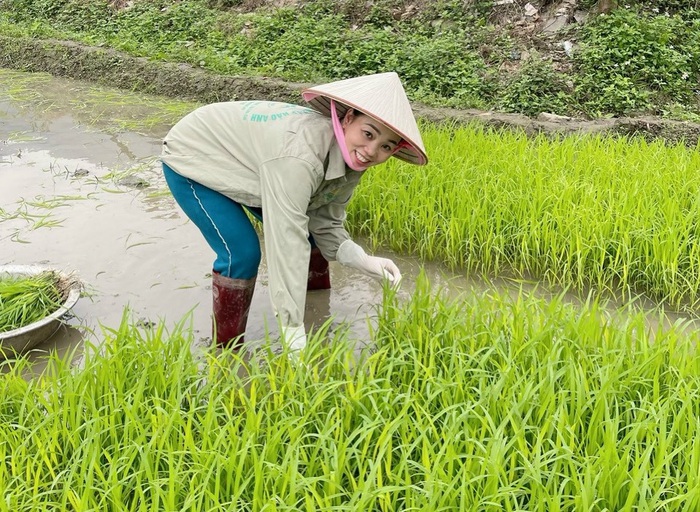 "Đánh thức" những mùa vàng ở Mường Vi - Ảnh 1.