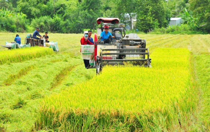 3 điểm mới đối với công dân trong Luật Đất đai 2024- Ảnh 1.