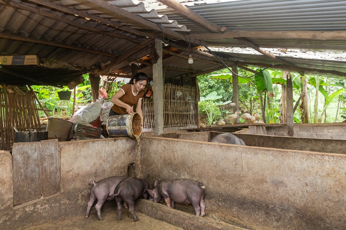 Chương trình Tiến về phía trước hỗ trợ phụ nữ thiểu số 3 tỉnh Quảng Trị, Hoà Bình và Hà Giang phát triển kinh tế- Ảnh 3.