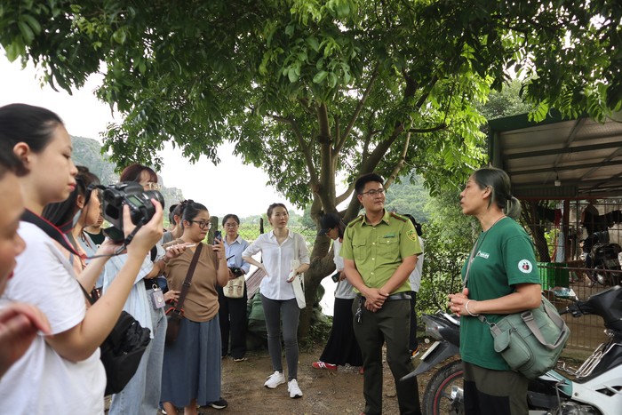 "Bông hồng xanh" ở Vườn quốc gia Cúc Phương- Ảnh 1.