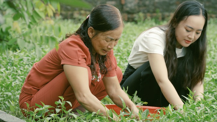 Mẹ của ca sĩ Bùi Tiến Thường (người bên trái)