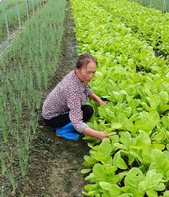 Gia đình phản đối, cô gái trẻ vẫn quyết định gắn bó với người chồng thương binh nặng- Ảnh 3.