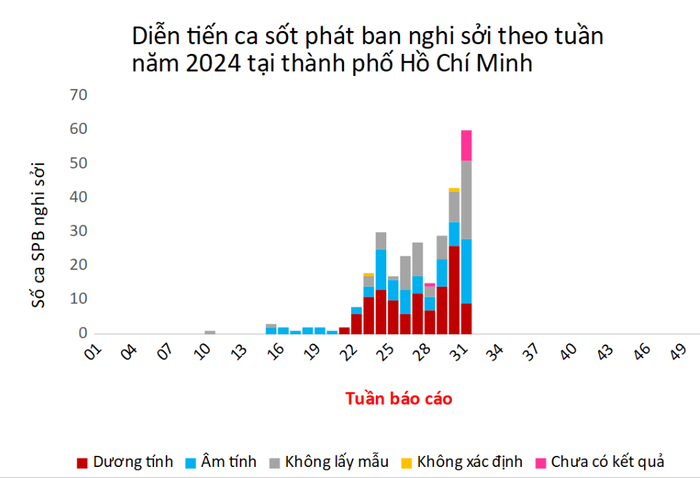 
Nguy cơ bùng phát dịch sởi tại TPHCM - Ảnh 1.