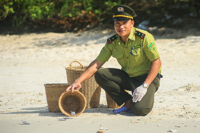 Những “người cha nuôi” của rùa biển ở Côn Đảo- Ảnh 1.