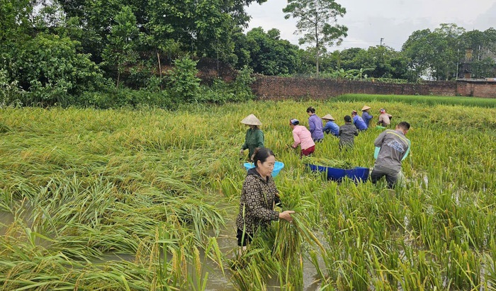 Thái Nguyên: Cán bộ, hội viên, phụ nữ trợ giúp người dân trong ngập lụt- Ảnh 10.