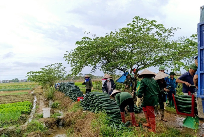 Bắc Giang: Phụ nữ đồng lòng giúp nhau trong bão- Ảnh 5.