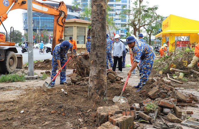 Hải Phòng: Cán bộ, chiến sĩ Hải quân tham gia trồng lại cây xanh sau bão số 3- Ảnh 2.