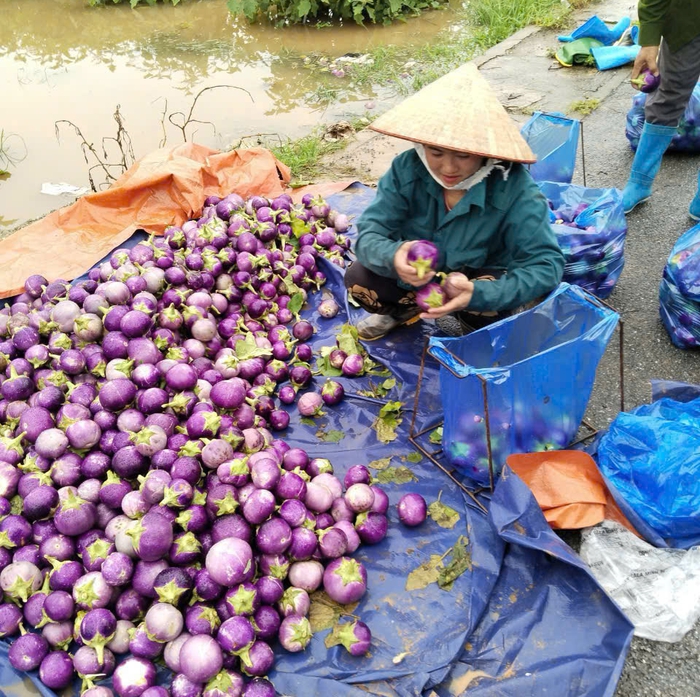 Phụ nữ Vĩnh Phúc đỏ lửa chuẩn bị đồ ăn tiếp tế cho các vùng bị cô lập- Ảnh 5.