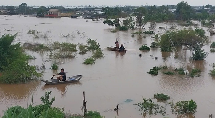 Xót xa “cánh đồng nghìn tỷ” của người dân Văn Giang (Hưng Yên) chìm sâu trong nước lũ 
- Ảnh 3.