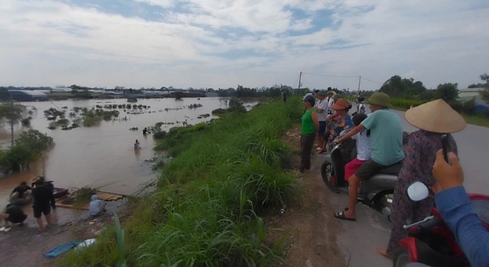 Xót xa “cánh đồng nghìn tỷ” của người dân Văn Giang (Hưng Yên) chìm sâu trong nước lũ 
- Ảnh 9.