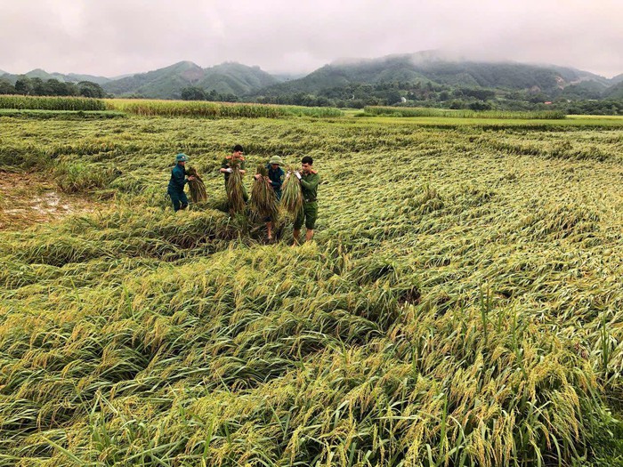 Công an Tuyên Quang khẩn trương giúp người dân trở lại nhịp sống ngày thường sau mưa lũ- Ảnh 4.