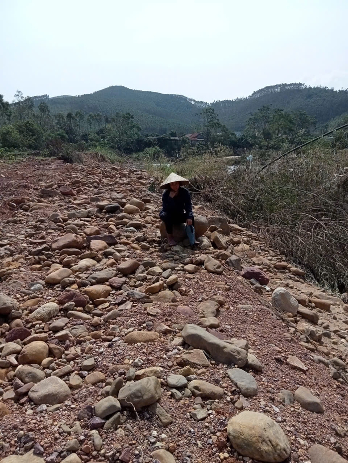 Người mẹ đơn thân ngã quỵ vì bão "quét" cả nông trại sau một đêm- Ảnh 3.