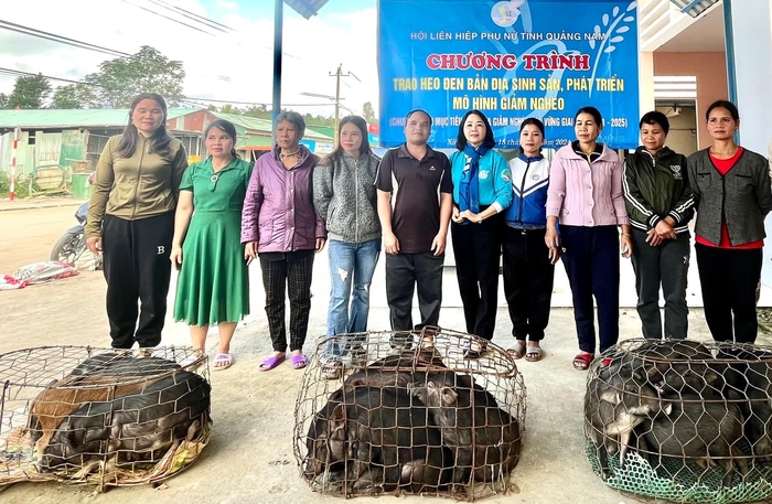 Hội LHPN tỉnh Quảng Nam – Điểm tựa vững chắc cho hội viên phụ nữ nỗ lực vươn lên- Ảnh 1.