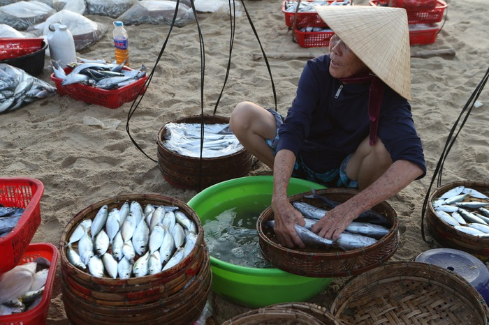 Nhọc nhằn những nữ phu cá - Ảnh 5.