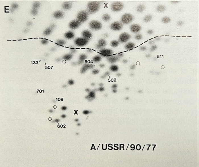 Bí ẩn Cúm Nga năm 1977: Một đại dịch tự ứng nghiệm từ “lỗ hổng không-thời gian” trong Chiến tranh Lạnh- Ảnh 6.