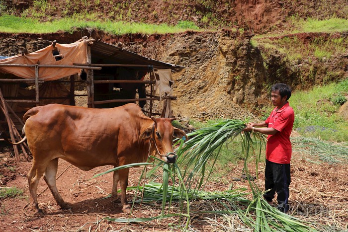 Krông Nô, Đắk Nông: Cuộc sống đồng bào khởi sắc nhờ các chính sách dân tộc- Ảnh 2.