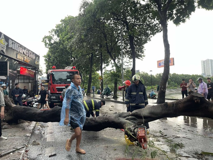 Hà Nội: Giông lốc gây đổ cây khiến 1 phụ nữ tử vong- Ảnh 1.