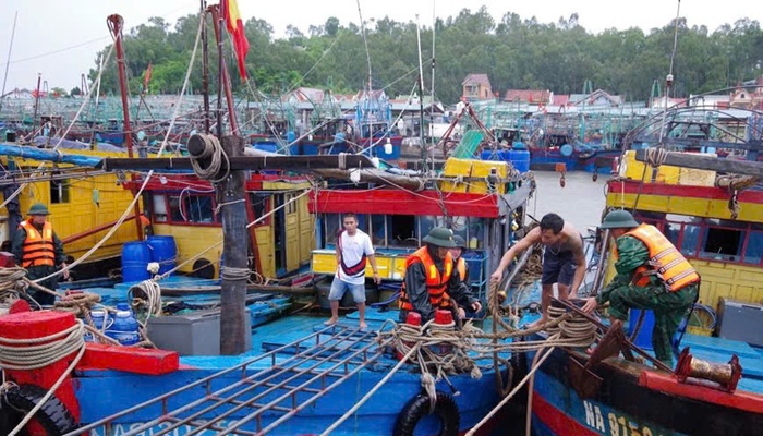 Nghệ An: Bộ đội biên phòng Quỳnh Phương giúp các hộ neo đơn, khó khăn di dời, sẵn sàng ứng phó mưa bão - Ảnh 3.